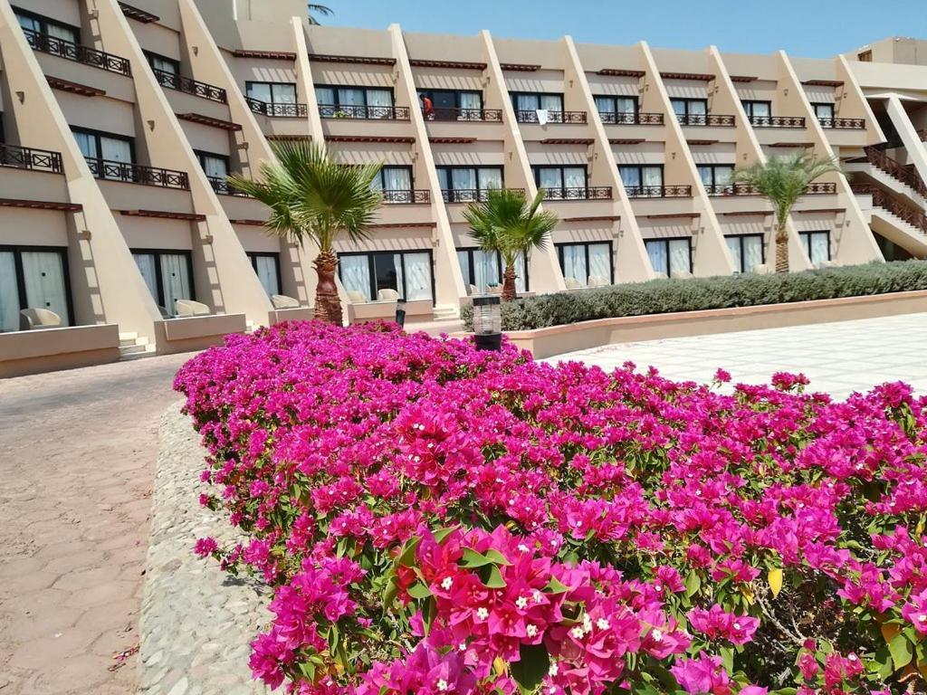 Pharaoh Azur Resort Hurghada Luaran gambar